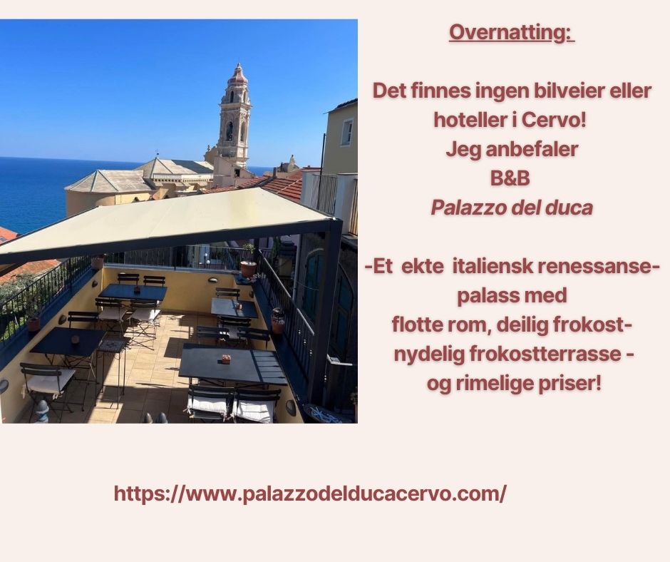 Black and White Travel Influencer Pinterest Pin (Facebook Post) (3)